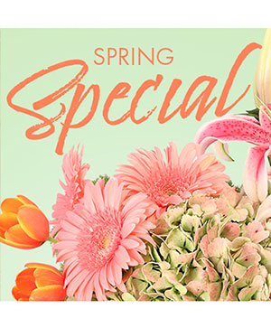 Special of Spring Florals Designer's Choice in Gloversville, NY | PECK'S FLOWERS